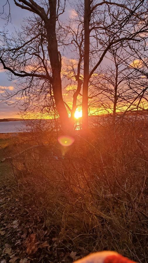 The Lark & Loon Inn Annapolis Royal Bagian luar foto